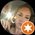 Photo de profil de Lucile Da Silva