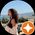 Photo de profil de Sabrina Bina