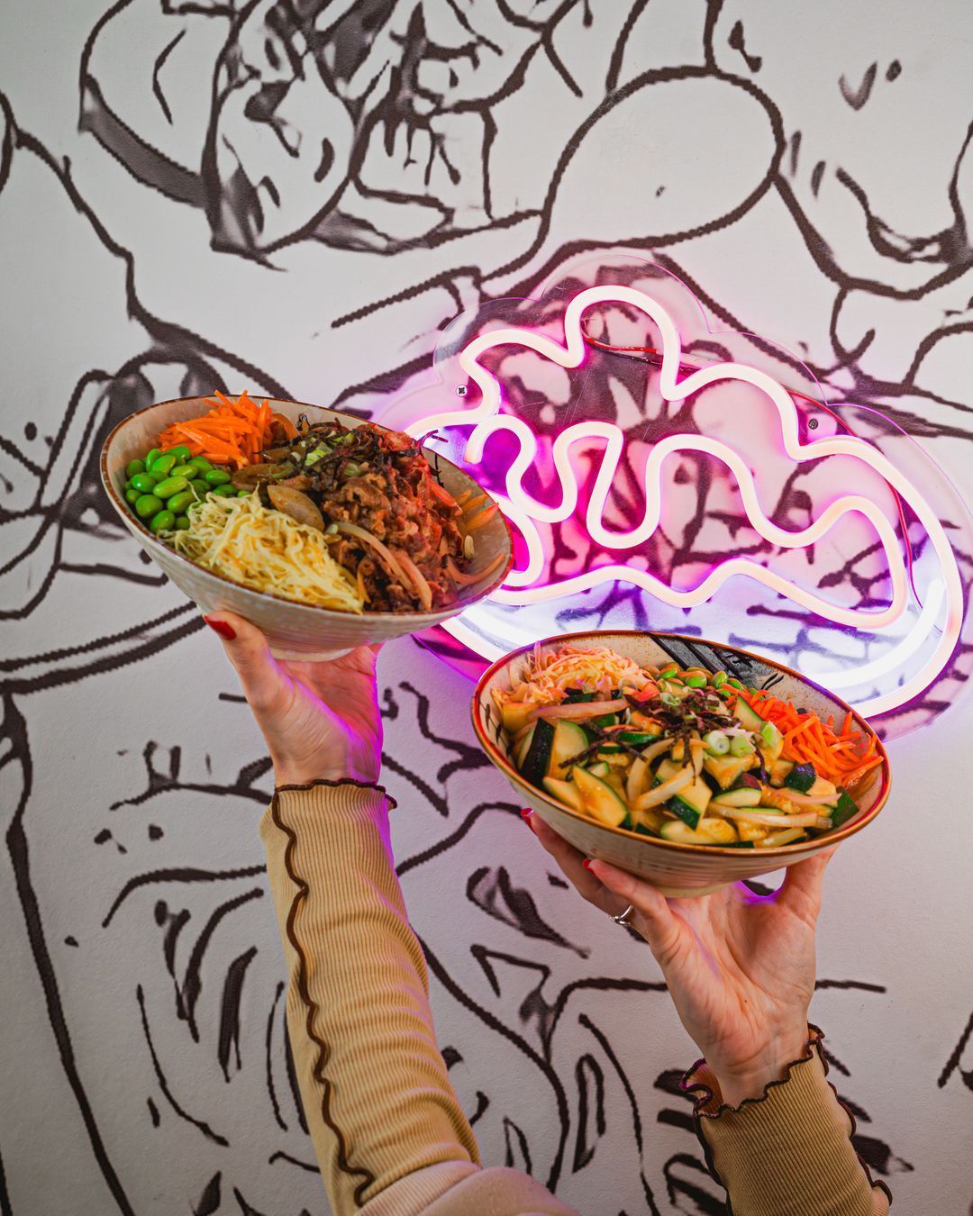 Deux bols colorés de plats asiatiques sont présentés, avec des légumes et des nouilles.